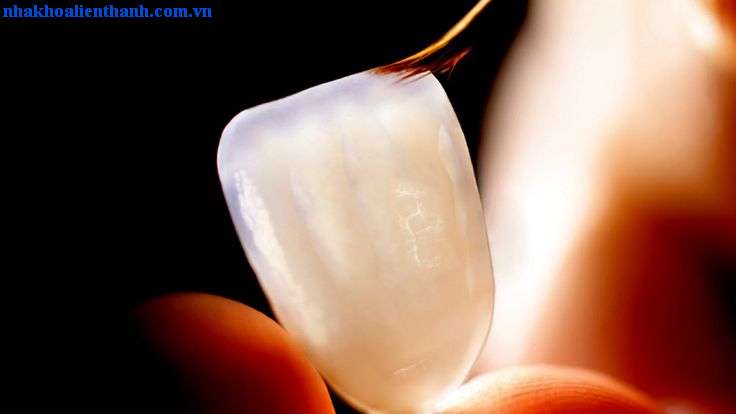 01092721_phan20quang
